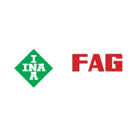 Logo INA FAG